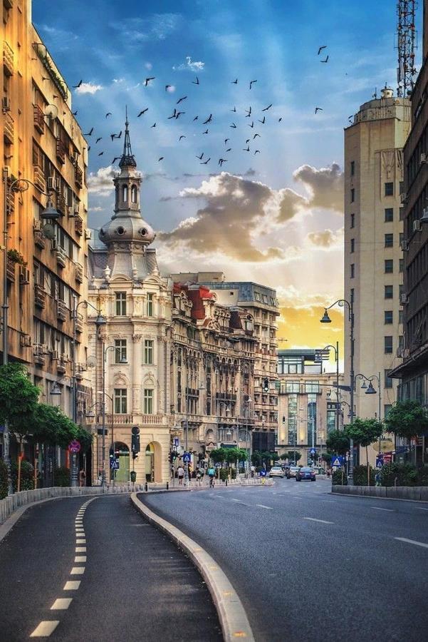 Imob Bibi House Universitate Букурещ Екстериор снимка